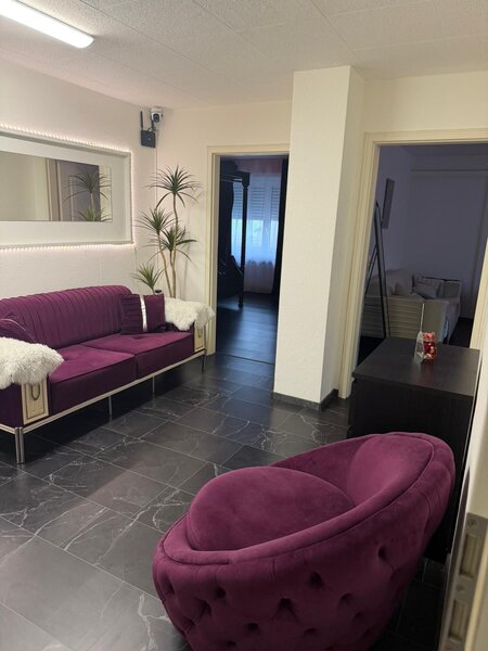 Elvetia. Platesti doar chirie! Lucreaza independent, 250 CHF /ora!