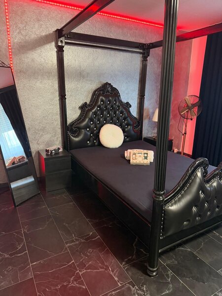 Elvetia. Platesti doar chirie! Lucreaza independent, 250 CHF /ora!