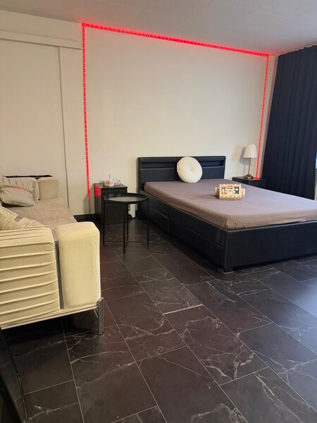 Elvetia. Platesti doar chirie! Lucreaza independent, 250 CHF /ora!