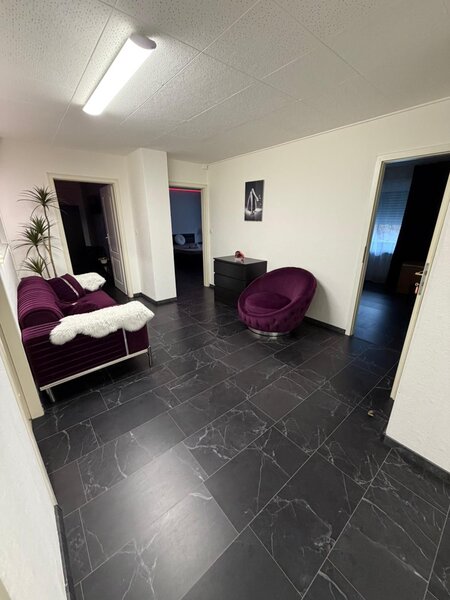 Elvetia. Platesti doar chirie! Lucreaza independent, 250 CHF /ora!